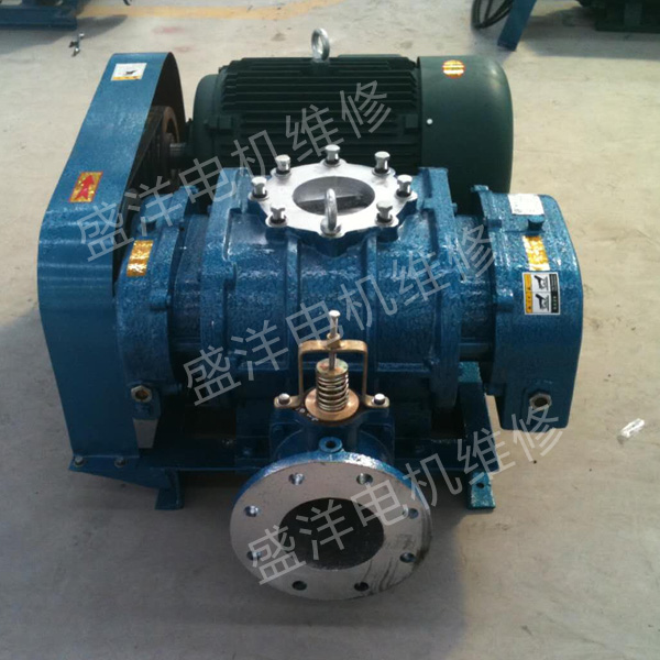 滁州罗茨风机维修 